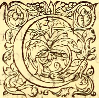 An illustration from Gvlielmi Rondeletii ... Libri de piscibus marinis, in quibus veræ piscium effigies expressæ sunt .., 1554, leaf 579