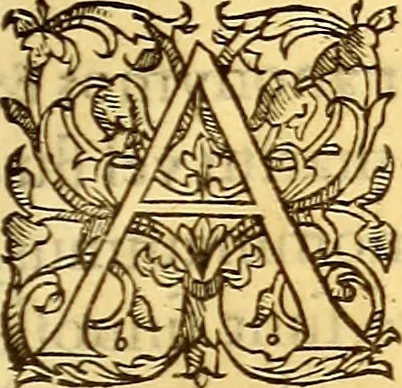 An illustration from Gvlielmi Rondeletii ... Libri de piscibus marinis, in quibus veræ piscium effigies expressæ sunt .., 1554, leaf 584
