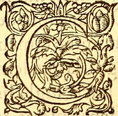 An illustration from Gvlielmi Rondeletii ... Libri de piscibus marinis, in quibus veræ piscium effigies expressæ sunt .., 1554, leaf 585