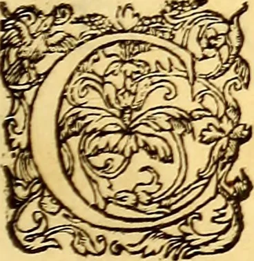 An illustration from Gvlielmi Rondeletii ... Libri de piscibus marinis, in quibus veræ piscium effigies expressæ sunt .., 1554, leaf 586