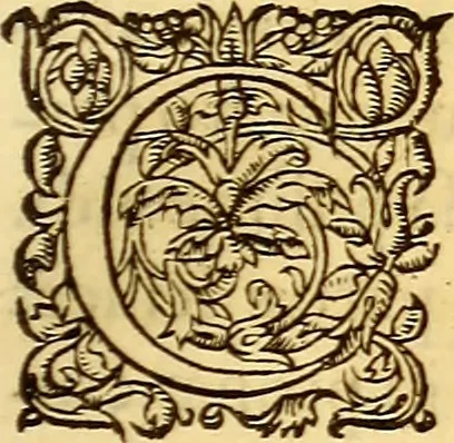 An illustration from Gvlielmi Rondeletii ... Libri de piscibus marinis, in quibus veræ piscium effigies expressæ sunt .., 1554, leaf 588