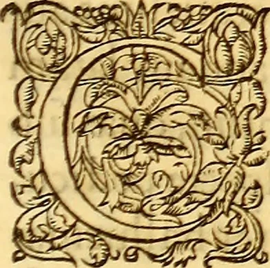 An illustration from Gvlielmi Rondeletii ... Libri de piscibus marinis, in quibus veræ piscium effigies expressæ sunt .., 1554, leaf 594
