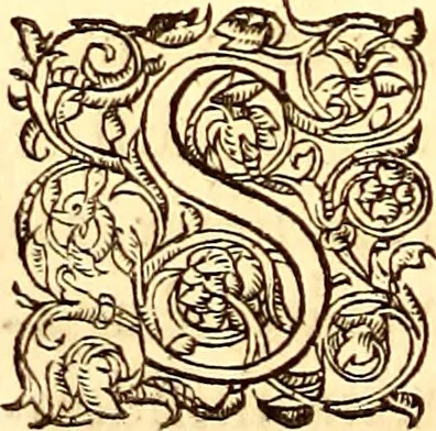 An illustration from Gvlielmi Rondeletii ... Libri de piscibus marinis, in quibus veræ piscium effigies expressæ sunt .., 1554, leaf 599