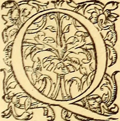 An illustration from Gvlielmi Rondeletii ... Libri de piscibus marinis, in quibus veræ piscium effigies expressæ sunt .., 1554, leaf 600