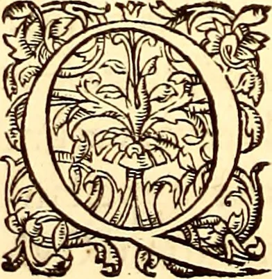 An illustration from Gvlielmi Rondeletii ... Libri de piscibus marinis, in quibus veræ piscium effigies expressæ sunt .., 1554, leaf 601