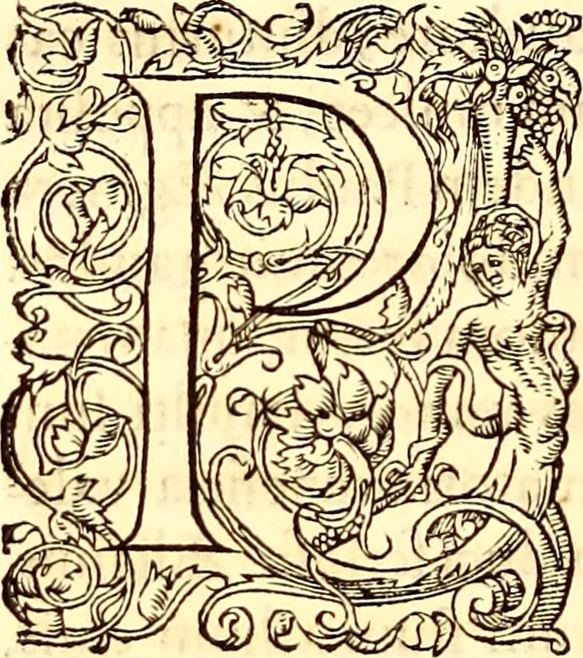 An illustration from Gvlielmi Rondeletii ... Libri de piscibus marinis, in quibus veræ piscium effigies expressæ sunt .., 1554, leaf 63