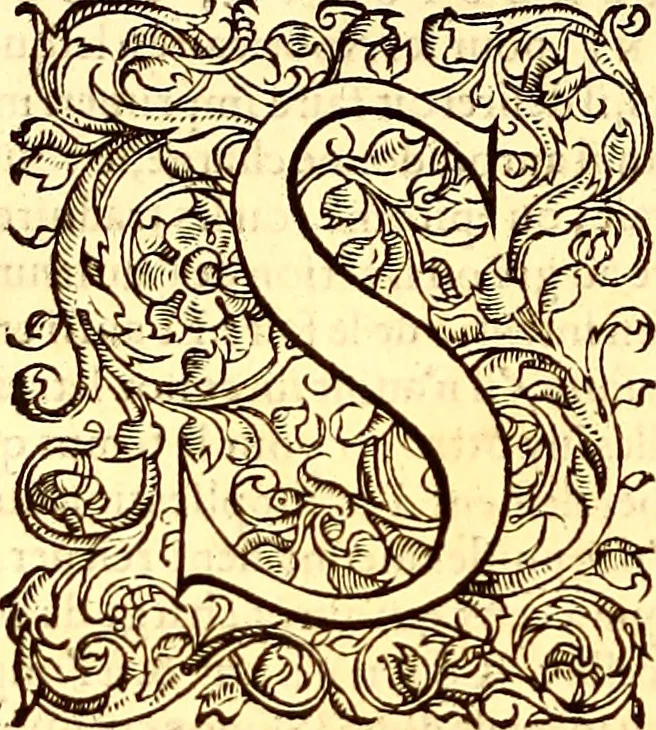 An illustration from Gvlielmi Rondeletii ... Libri de piscibus marinis, in quibus veræ piscium effigies expressæ sunt .., 1554, leaf 631