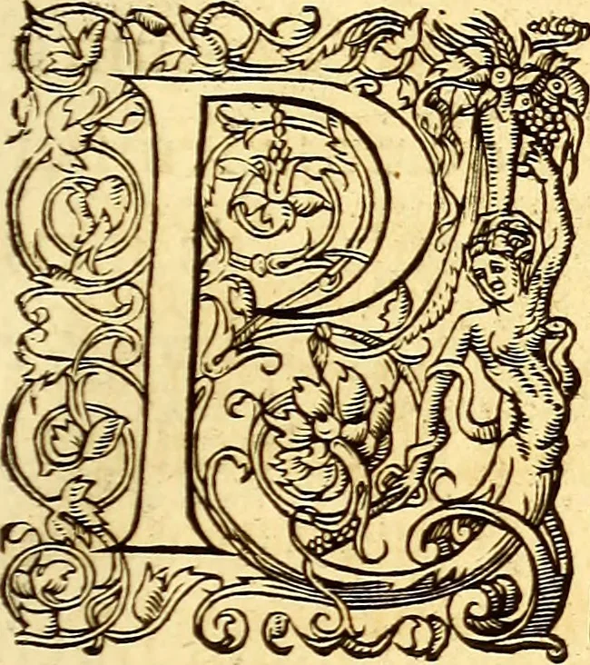 An illustration from Gvlielmi Rondeletii ... Libri de piscibus marinis, in quibus veræ piscium effigies expressæ sunt .., 1554, leaf 632