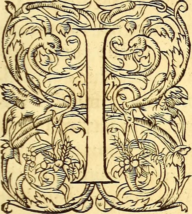 An illustration from Gvlielmi Rondeletii ... Libri de piscibus marinis, in quibus veræ piscium effigies expressæ sunt .., 1554, leaf 634