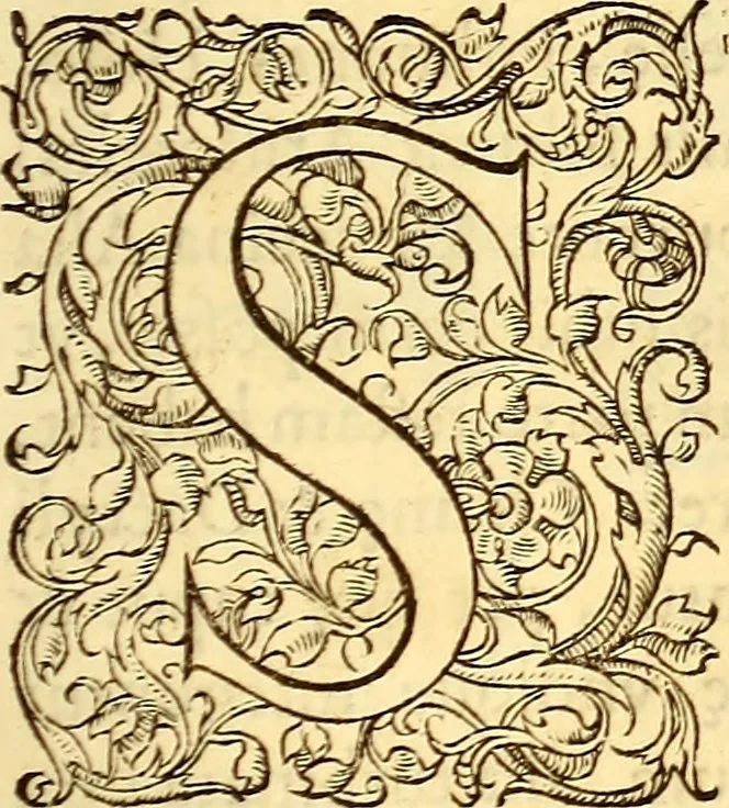 An illustration from Gvlielmi Rondeletii ... Libri de piscibus marinis, in quibus veræ piscium effigies expressæ sunt .., 1554, leaf 640
