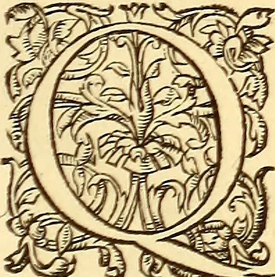 An illustration from Gvlielmi Rondeletii ... Libri de piscibus marinis, in quibus veræ piscium effigies expressæ sunt .., 1554, leaf 642