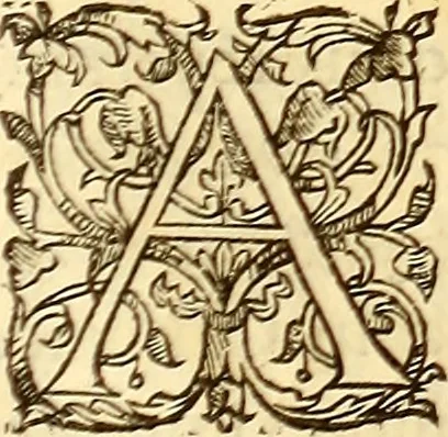 An illustration from Gvlielmi Rondeletii ... Libri de piscibus marinis, in quibus veræ piscium effigies expressæ sunt .., 1554, leaf 644