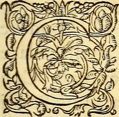 An illustration from Gvlielmi Rondeletii ... Libri de piscibus marinis, in quibus veræ piscium effigies expressæ sunt .., 1554, leaf 650