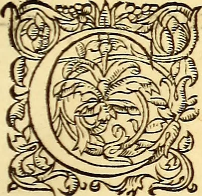 An illustration from Gvlielmi Rondeletii ... Libri de piscibus marinis, in quibus veræ piscium effigies expressæ sunt .., 1554, leaf 652