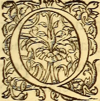 An illustration from Gvlielmi Rondeletii ... Libri de piscibus marinis, in quibus veræ piscium effigies expressæ sunt .., 1554, leaf 654