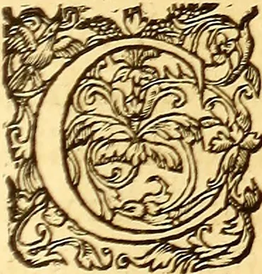 An illustration from Gvlielmi Rondeletii ... Libri de piscibus marinis, in quibus veræ piscium effigies expressæ sunt .., 1554, leaf 656
