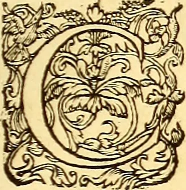 An illustration from Gvlielmi Rondeletii ... Libri de piscibus marinis, in quibus veræ piscium effigies expressæ sunt .., 1554, leaf 658