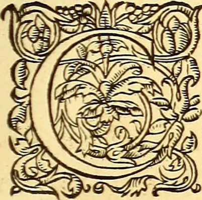 An illustration from Gvlielmi Rondeletii ... Libri de piscibus marinis, in quibus veræ piscium effigies expressæ sunt .., 1554, leaf 664