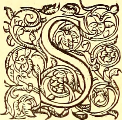 An illustration from Gvlielmi Rondeletii ... Libri de piscibus marinis, in quibus veræ piscium effigies expressæ sunt .., 1554, leaf 671