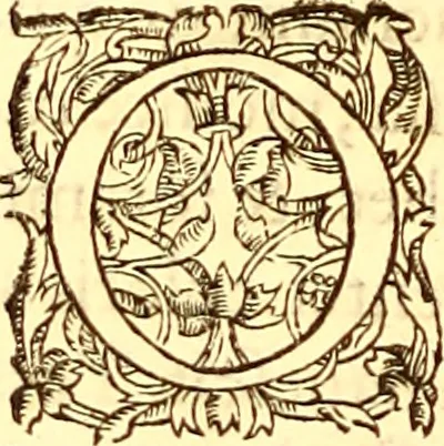 An illustration from Gvlielmi Rondeletii ... Libri de piscibus marinis, in quibus veræ piscium effigies expressæ sunt .., 1554, leaf 673