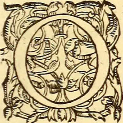 An illustration from Gvlielmi Rondeletii ... Libri de piscibus marinis, in quibus veræ piscium effigies expressæ sunt .., 1554, leaf 676