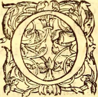 An illustration from Gvlielmi Rondeletii ... Libri de piscibus marinis, in quibus veræ piscium effigies expressæ sunt .., 1554, leaf 679