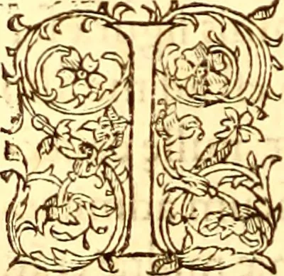 An illustration from Gvlielmi Rondeletii ... Libri de piscibus marinis, in quibus veræ piscium effigies expressæ sunt .., 1554, leaf 689