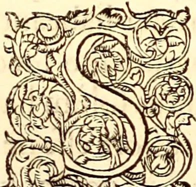An illustration from Gvlielmi Rondeletii ... Libri de piscibus marinis, in quibus veræ piscium effigies expressæ sunt .., 1554, leaf 69