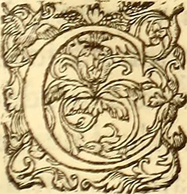 An illustration from Gvlielmi Rondeletii ... Libri de piscibus marinis, in quibus veræ piscium effigies expressæ sunt .., 1554, leaf 692