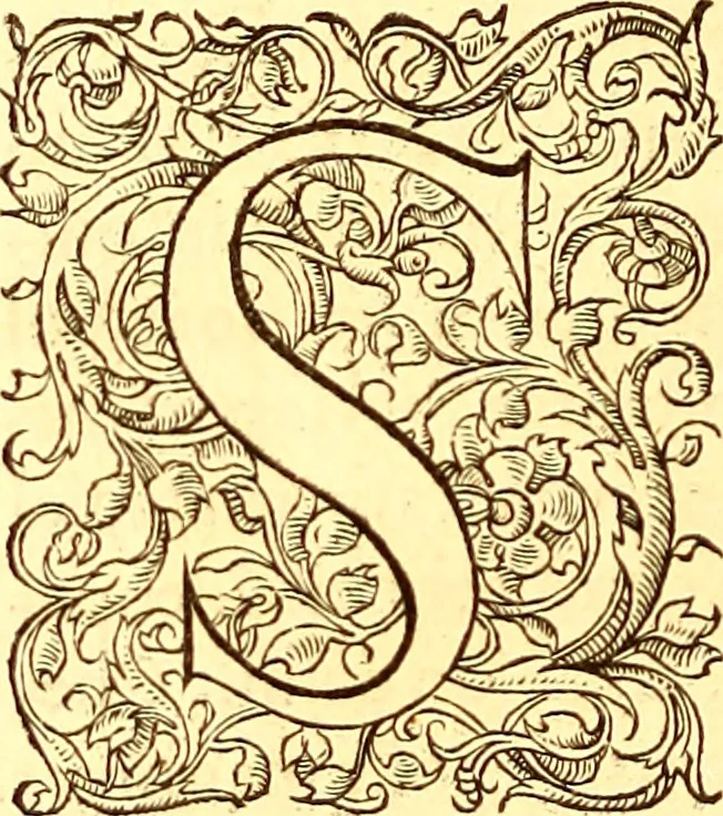 An illustration from Gvlielmi Rondeletii ... Libri de piscibus marinis, in quibus veræ piscium effigies expressæ sunt .., 1554, leaf 701