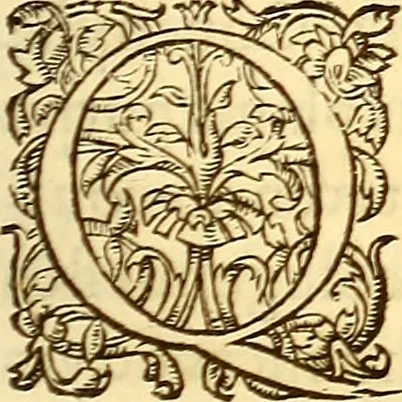 An illustration from Gvlielmi Rondeletii ... Libri de piscibus marinis, in quibus veræ piscium effigies expressæ sunt .., 1554, leaf 710