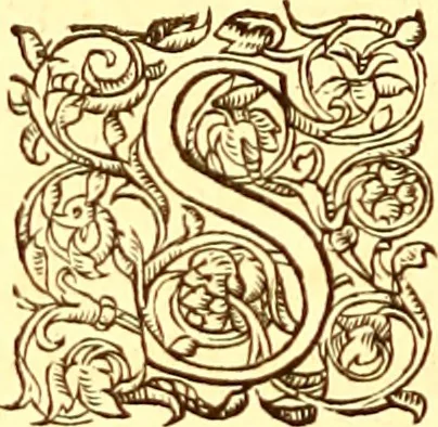 An illustration from Gvlielmi Rondeletii ... Libri de piscibus marinis, in quibus veræ piscium effigies expressæ sunt .., 1554, leaf 713