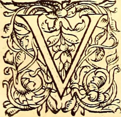 An illustration from Gvlielmi Rondeletii ... Libri de piscibus marinis, in quibus veræ piscium effigies expressæ sunt .., 1554, leaf 717