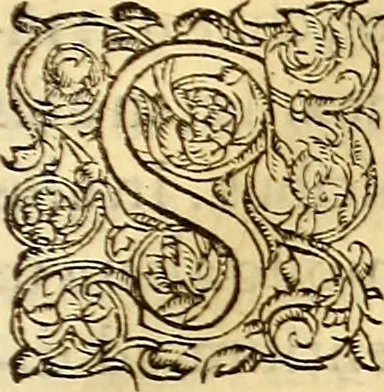 An illustration from Gvlielmi Rondeletii ... Libri de piscibus marinis, in quibus veræ piscium effigies expressæ sunt .., 1554, leaf 72