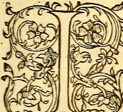 An illustration from Gvlielmi Rondeletii ... Libri de piscibus marinis, in quibus veræ piscium effigies expressæ sunt .., 1554, leaf 722