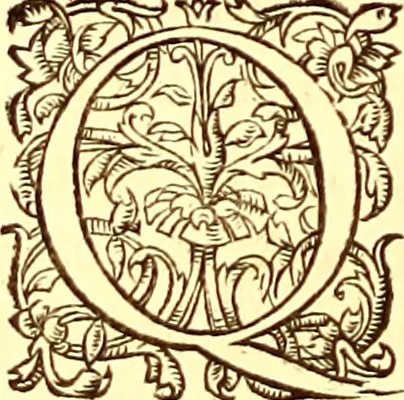 An illustration from Gvlielmi Rondeletii ... Libri de piscibus marinis, in quibus veræ piscium effigies expressæ sunt .., 1554, leaf 725