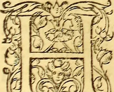 An illustration from Gvlielmi Rondeletii ... Libri de piscibus marinis, in quibus veræ piscium effigies expressæ sunt .., 1554, leaf 728