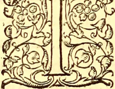 An illustration from Gvlielmi Rondeletii ... Libri de piscibus marinis, in quibus veræ piscium effigies expressæ sunt .., 1554, leaf 729