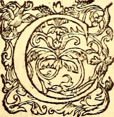 An illustration from Gvlielmi Rondeletii ... Libri de piscibus marinis, in quibus veræ piscium effigies expressæ sunt .., 1554, leaf 729