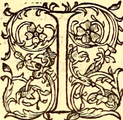 An illustration from Gvlielmi Rondeletii ... Libri de piscibus marinis, in quibus veræ piscium effigies expressæ sunt .., 1554, leaf 731