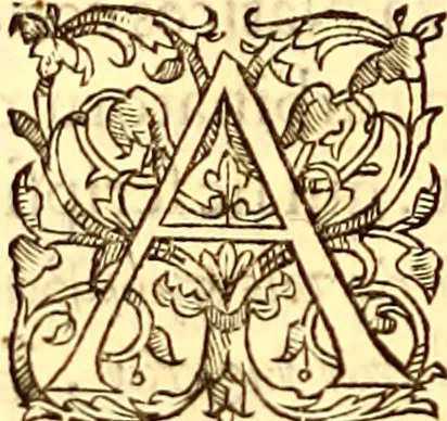 An illustration from Gvlielmi Rondeletii ... Libri de piscibus marinis, in quibus veræ piscium effigies expressæ sunt .., 1554, leaf 733
