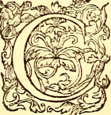 An illustration from Gvlielmi Rondeletii ... Libri de piscibus marinis, in quibus veræ piscium effigies expressæ sunt .., 1554, leaf 735