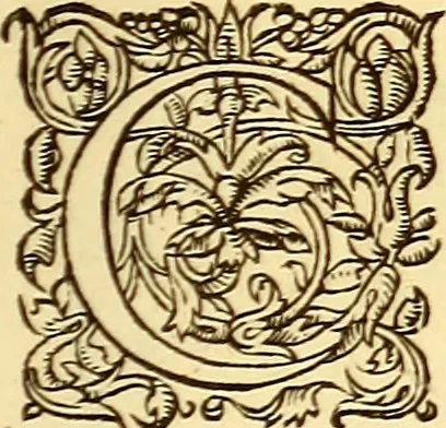 An illustration from Gvlielmi Rondeletii ... Libri de piscibus marinis, in quibus veræ piscium effigies expressæ sunt .., 1554, leaf 736