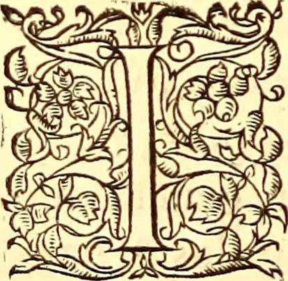 An illustration from Gvlielmi Rondeletii ... Libri de piscibus marinis, in quibus veræ piscium effigies expressæ sunt .., 1554, leaf 737