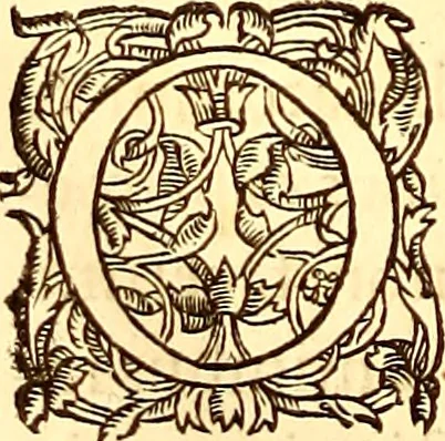 An illustration from Gvlielmi Rondeletii ... Libri de piscibus marinis, in quibus veræ piscium effigies expressæ sunt .., 1554, leaf 739