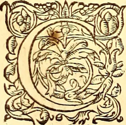 An illustration from Gvlielmi Rondeletii ... Libri de piscibus marinis, in quibus veræ piscium effigies expressæ sunt .., 1554, leaf 741