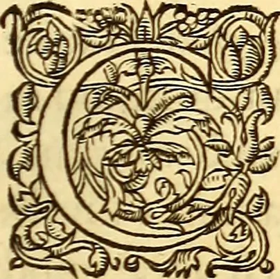 An illustration from Gvlielmi Rondeletii ... Libri de piscibus marinis, in quibus veræ piscium effigies expressæ sunt .., 1554, leaf 742