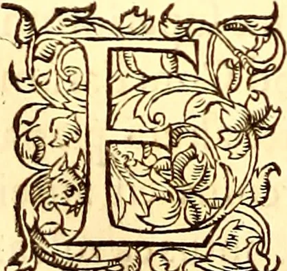 An illustration from Gvlielmi Rondeletii ... Libri de piscibus marinis, in quibus veræ piscium effigies expressæ sunt .., 1554, leaf 743