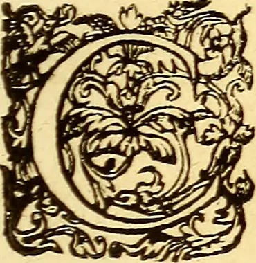 An illustration from Gvlielmi Rondeletii ... Libri de piscibus marinis, in quibus veræ piscium effigies expressæ sunt .., 1554, leaf 744