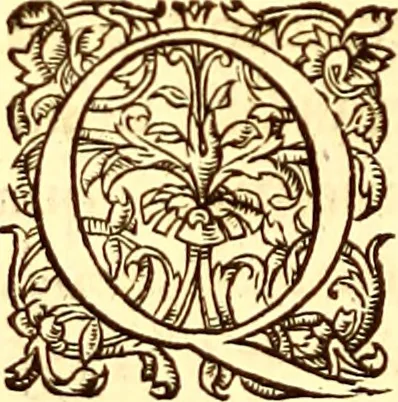 An illustration from Gvlielmi Rondeletii ... Libri de piscibus marinis, in quibus veræ piscium effigies expressæ sunt .., 1554, leaf 747